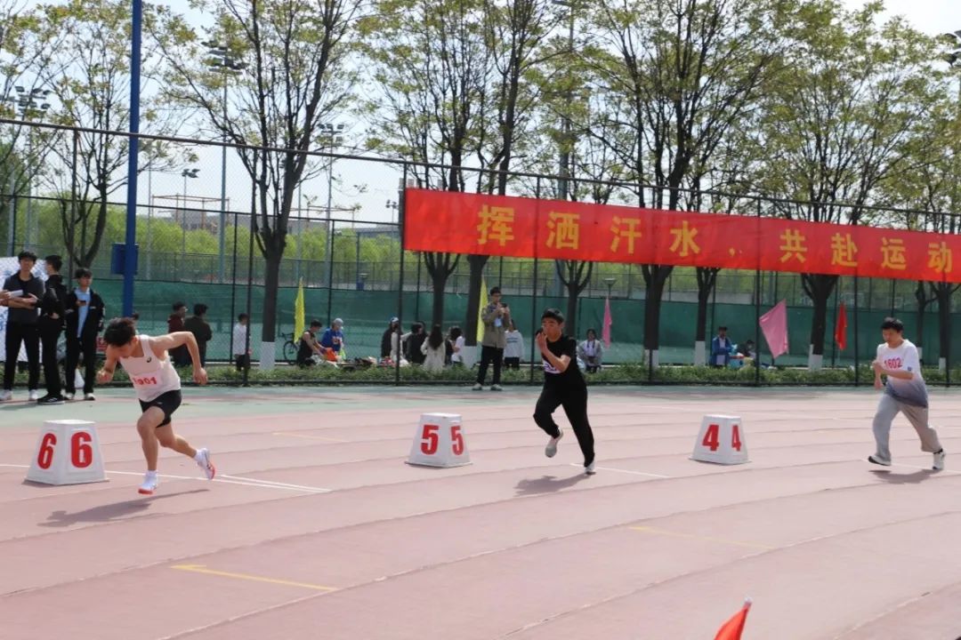 25D34 25D34